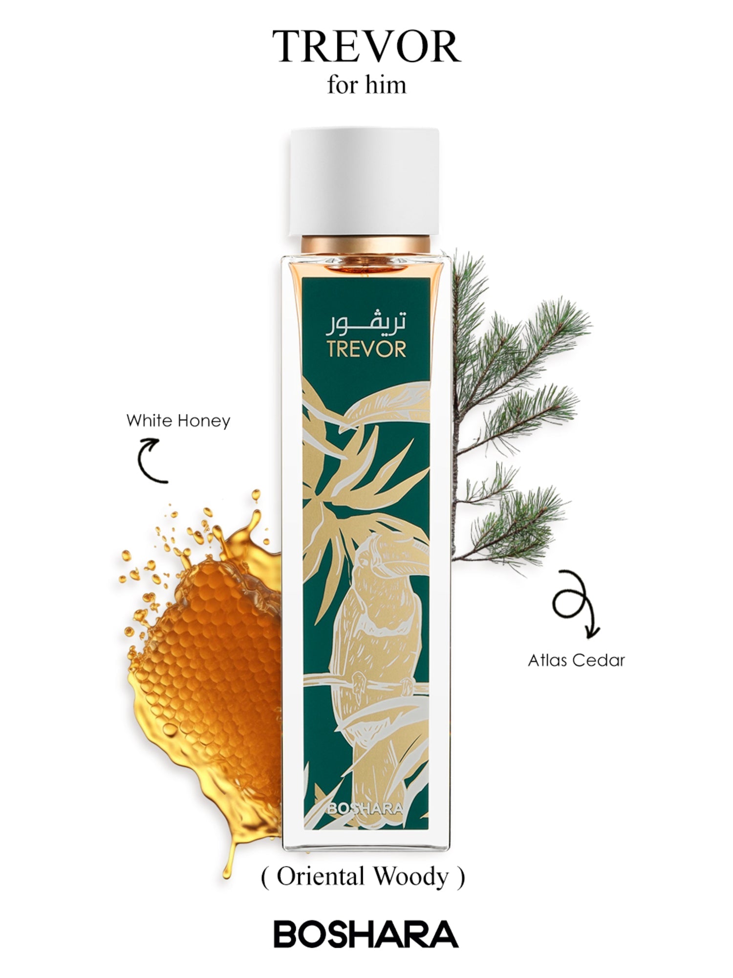 TREVOR - Boshara Perfumes