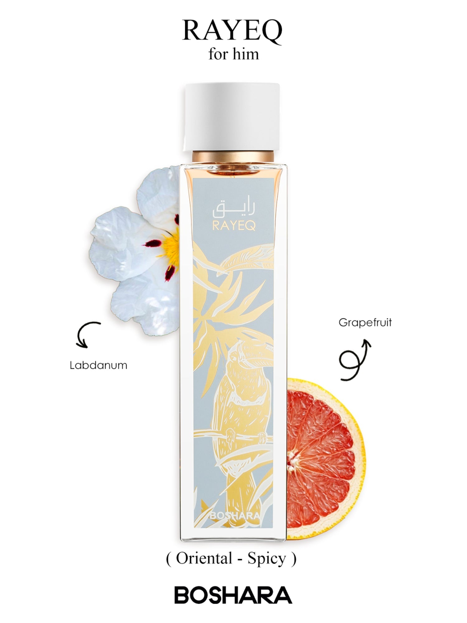 RAYEQ - Boshara Perfumes