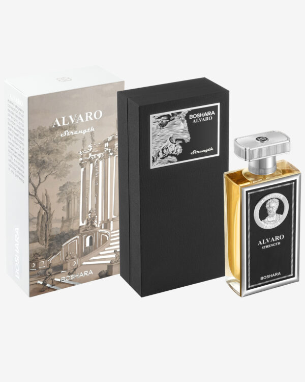 ALVARO STRENGTH - Image 3