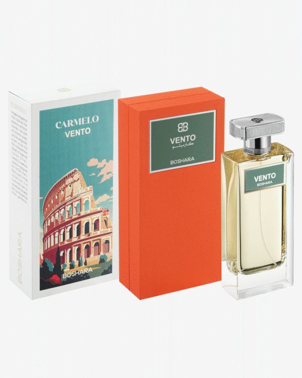 VENTO - Image 3