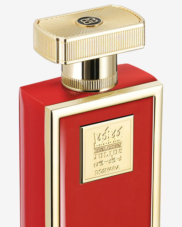 JULIUS - Image 2