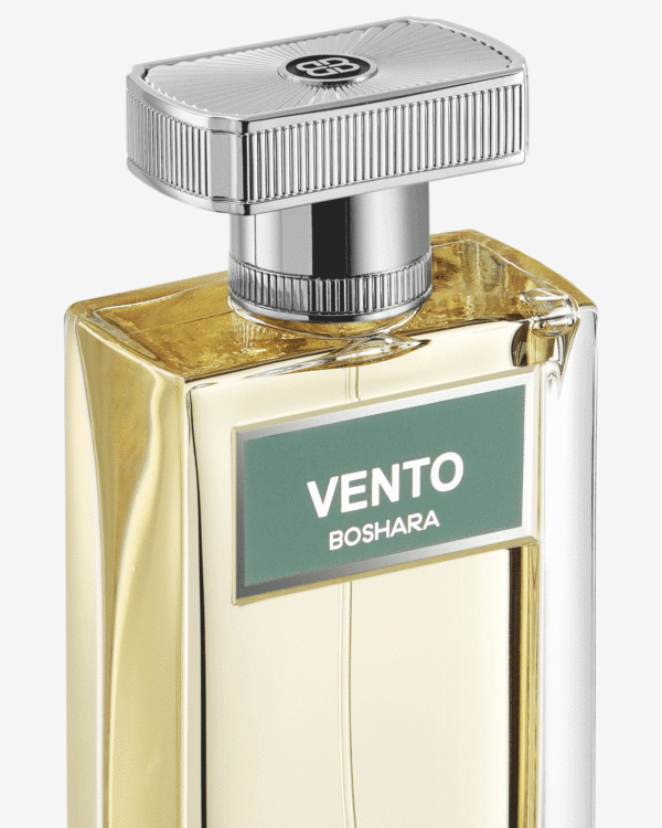 VENTO - Image 2