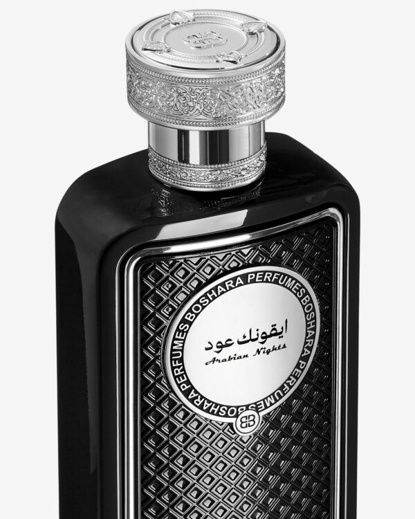 ICONIC OUD - Image 2