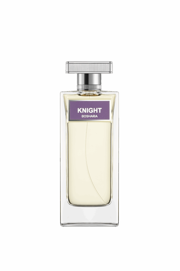KNIGHT
